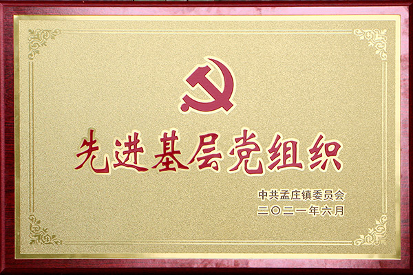 *基层党组织
